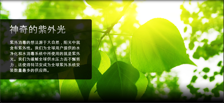 紫外消毒的想法源于大自然，阳光中就含有紫外线。我们为全球用户提供的水净化和水消毒系统中所使用的就是紫外光。

我们为缓解全球供水压力而不懈努力，这使得特洁安成为全球紫外系统安装数量最多的供应商。