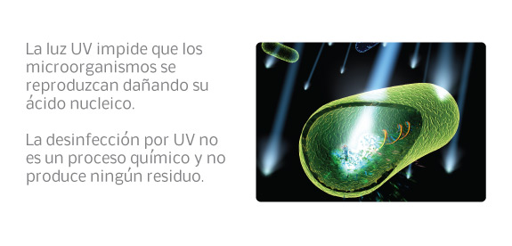 No, la luz ultravioleta no acaba con el coronavirus y, además