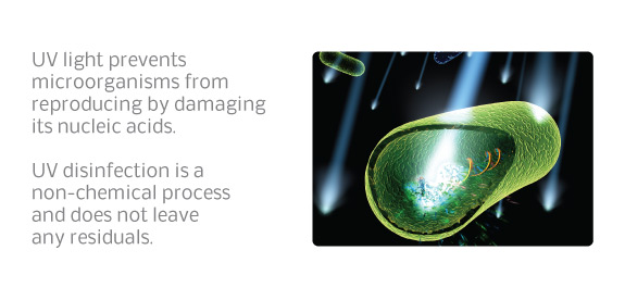Introduction To Uv Disinfection Trojanuv